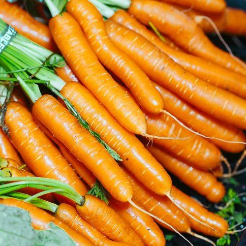 Ventajas de los servicios de Agrotécnica