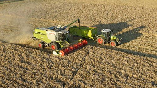 Asesoramiento técnico agrícola