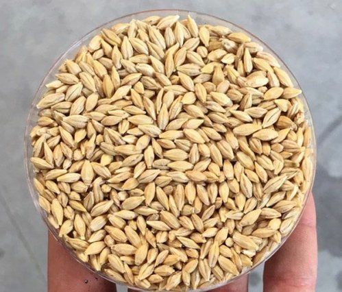 Productos agropecuarios en Valladolid